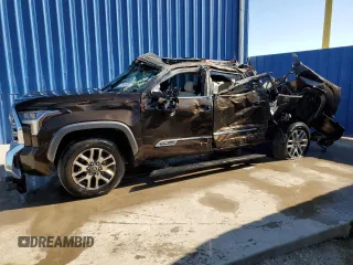 2022 Toyota Tundra 2WD 1794 Edition with VIN 5TFMA5AB0NX004561, listed as a Copart auction lot 49262374 with 49,660 mi miles and Non Repairable. Bid and sale history available at carsss.com. Image 1.