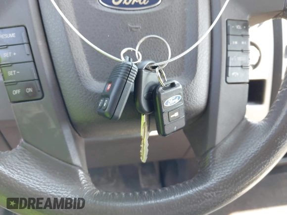 2010 Ford F-150 XL with VIN 1FTFX1EV4AKE03002, listed as a IAAI auction lot 42488513 with 170,178 mi miles and . Bid and sale history available at DreamBid. Image 11.