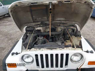 1998 Jeep Wrangler Sport with VIN 1J4FY19S0WP779147, listed as a IAAI auction lot 42045723 with 205,822 mi miles. Bid and sale history available at carsss.com. Image 10.