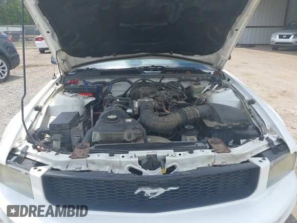 2005 Ford Mustang Deluxe с VIN 1ZVFT80N455143715, выставлен на аукционе IAAI как лот 42439492 с пробегом 131 102 миль миль и . История ставок и продаж доступна на DreamBid. Изображение 10.