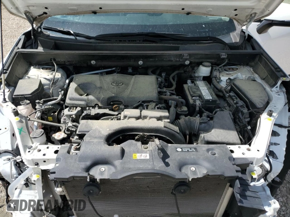 2019 Toyota RAV4 XLE with VIN 2T3P1RFV3KC037238, listed as a Copart auction lot 51245615 with 59,093 mi miles and Salvage Title. Bid and sale history available at carsss.com. Image 12.