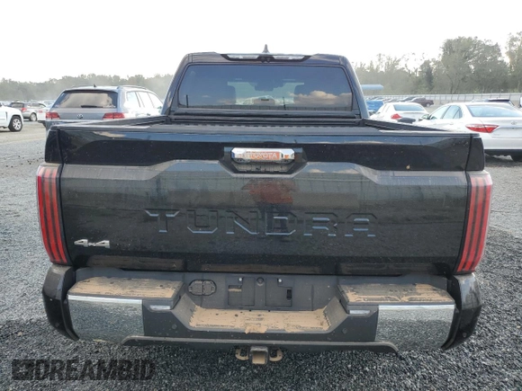 2024 Toyota Tundra 1794 Edition with VIN 5TFMC5DBXRX063757, listed as a Copart auction lot 74840034 with Not provided miles and Salvage title. Bid and sale history available at DreamBid. Image 6.