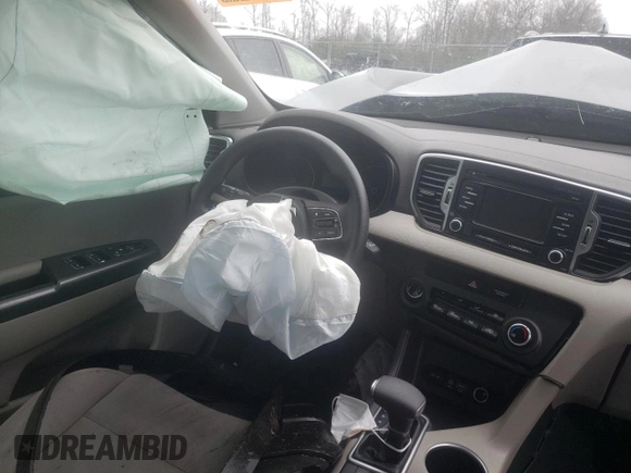 2019 Kia Sportage LX with VIN KNDPM3AC8K7500009, listed as a Copart auction lot 49060815 with 0 mi miles and Non Repairable. Bid and sale history available at carsss.com. Image 9.