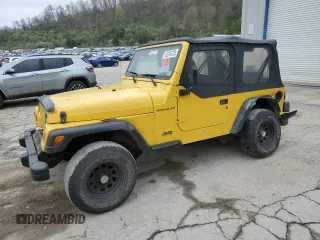 2002 Jeep Wrangler SE with VIN 1J4FA29P62P702945, listed as a Copart auction lot 52376735 with 98,696 mi miles and Salvage title. Bid and sale history available at DreamBid. Image 1.
