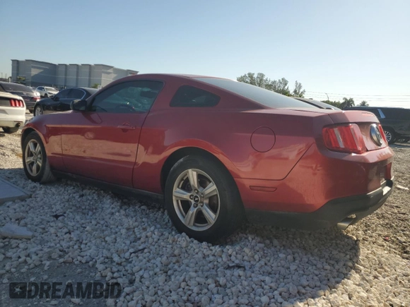 2011 Ford Mustang V6 with VIN 1ZVBP8AM8B5166239, listed as a Copart auction lot 53155725 with 198,966 mi miles and Clean Title. Bid and sale history available at carsss.com. Image 2.