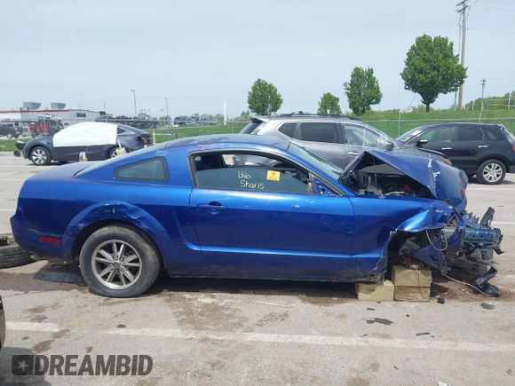 2005 Ford Mustang Deluxe with VIN 1ZVFT80N355159517, listed as a IAAI auction lot 42064180 with Not provided miles and . Bid and sale history available at DreamBid. Image 13.