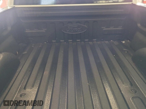 2017 Ford F-150 XL with VIN 1FTEX1EP3HKC76119, listed as a IAAI auction lot 42844369 with 193,396 mi miles and . Bid and sale history available at DreamBid. Image 46.