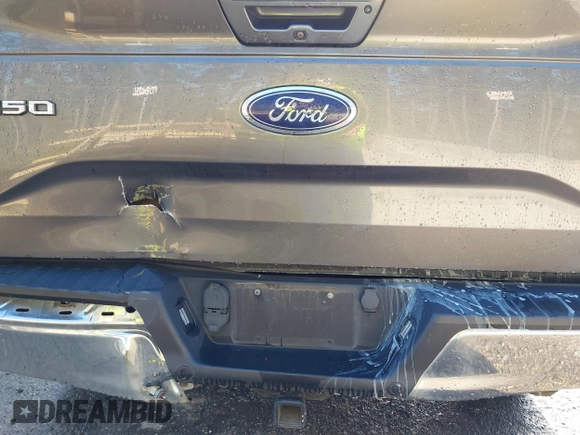 2015 Ford F-150 XLT с VIN 1FTEW1EF7FKE43458, выставлен на аукционе IAAI как лот 42003480 с пробегом 139 745 миль миль и . История ставок и продаж доступна на DreamBid. Изображение 19.