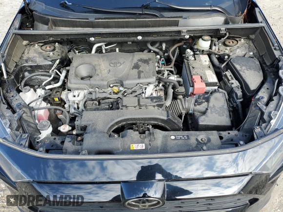 2019 Toyota RAV4 LE with VIN JTMF1RFV8KD002525, listed as a Copart auction lot 49560465 with 28,929 mi miles and Salvage Title. Bid and sale history available at DreamBid. Image 11.
