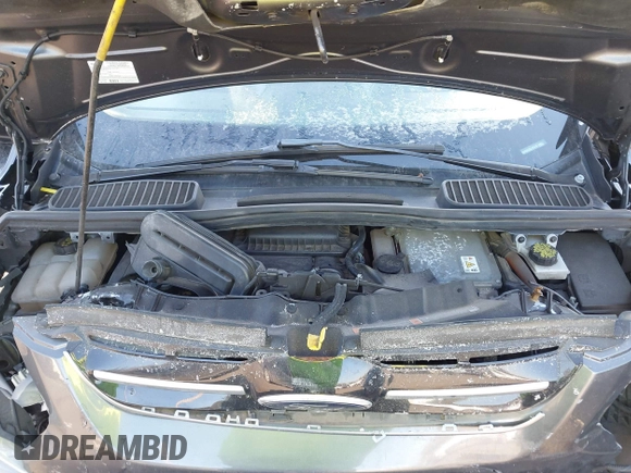2016 Ford C-Max SEL with VIN 1FADP5BU3GL101218, listed as a IAAI auction lot 41292889 with 121,137 mi miles and . Bid and sale history available at DreamBid. Image 10.