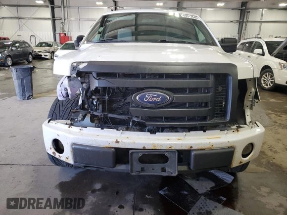 2012 Ford F-150 XL with VIN 1FTMF1CF6CFA60355, listed as a Copart auction lot 49317645 with 248,008 mi miles and Salvage Title. Bid and sale history available at carsss.com. Image 5.