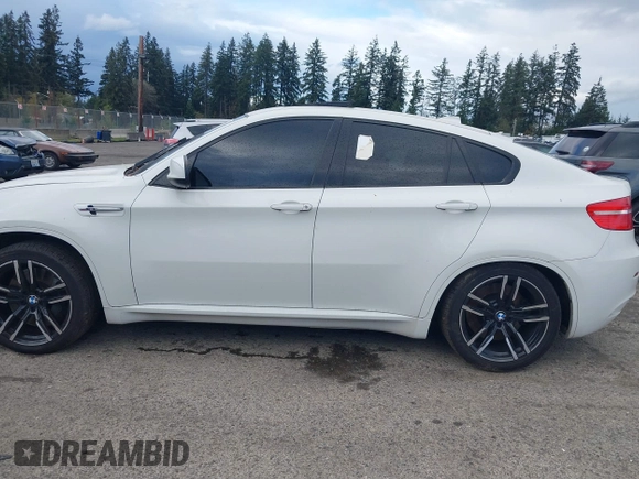2010 BMW X6 M with VIN 5YMGZ0C52ALK13325, listed as a IAAI auction lot 40819581 with 134,282 mi miles. Bid and sale history available at carsss.com. Image 14.