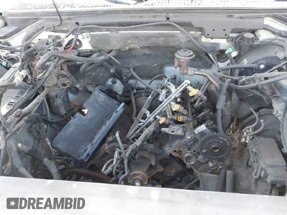 2003 Ford F-150 с VIN 2FTRF08L83CA48010, выставлен на аукционе IAAI как лот 42169880 с пробегом Не указан миль и . История ставок и продаж доступна на DreamBid. Изображение 10.