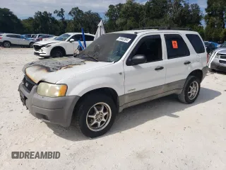 2002 Ford Escape XLS Choice with VIN 1FMYU011X2KB24469, listed as a Copart auction lot 76462504 with Not provided miles and Salvage title. Bid and sale history available at DreamBid. Image 1.