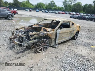2019 Ford Mustang GT with VIN 1FA6P8CF3K5199495, listed as a Copart auction lot 56132555 with Not provided miles and Non repairable. Bid and sale history available at DreamBid. Image 1.