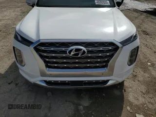 2020 Hyundai Palisade Limited with VIN KM8R5DHE7LU137851, listed as a Copart auction lot 55364415 with Not provided miles and Salvage title. Bid and sale history available at DreamBid. Image 12.