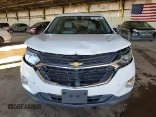 2019 Chevrolet Equinox LS with VIN 3GNAXHEV5KS595174, listed as a Copart auction lot 50412685 with 108,253 mi miles and Salvage Title. Bid and sale history available at carsss.com. Image 5.