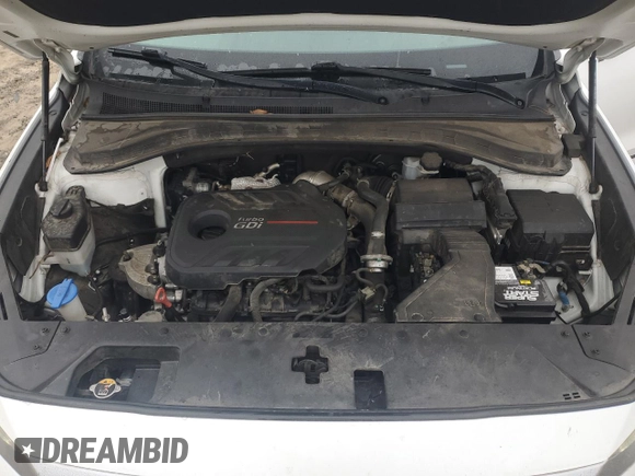 2019 Hyundai Santa Fe Limited z VIN 5NMS5CAA7KH027217, wystawiony jako Copart lot #80424754 z przebiegiem 86 370 mil mil oraz Szkoda całkowita • Salvage title. Historia ofert i sprzedaży dostępna na DreamBid. Obrazek 13.