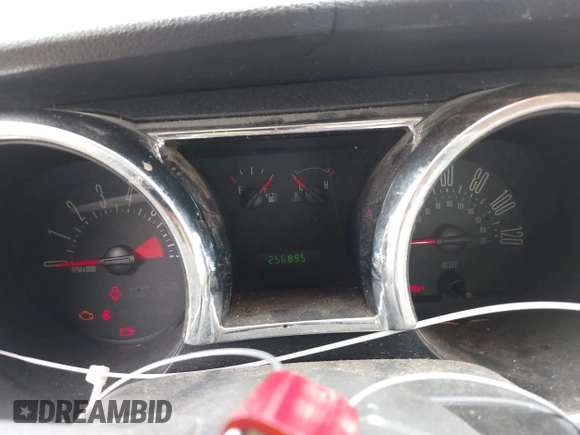 2005 Ford Mustang Deluxe with VIN 1ZVFT80N755228032, listed as a IAAI auction lot 42266782 with 256,895 mi miles and . Bid and sale history available at DreamBid. Image 7.