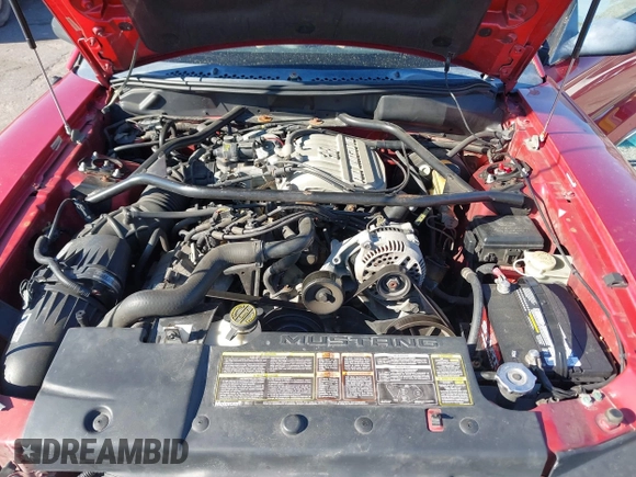 1995 Ford Mustang GT with VIN 1FALP42T3SF142808, listed as a IAAI auction lot 41758047 with 51,516 mi miles and . Bid and sale history available at DreamBid. Image 10.