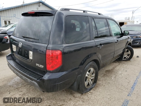 2005 Honda Pilot EX with VIN 5FNYF18495B001591, listed as a Copart auction lot 53043035 with 181,887 mi miles and Salvage Title. Bid and sale history available at carsss.com. Image 3.