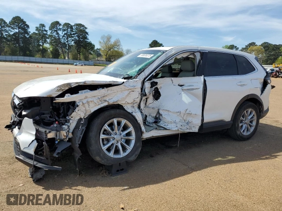 2024 Honda CR-V EX-L with VIN 2HKRS3H76RH316801, listed as a Copart auction lot 50638375 with Not Provided miles and Salvage Title. Bid and sale history available at DreamBid. Image 1.
