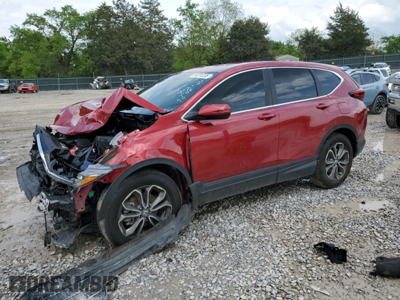 2021 Honda CR-V EX-L z VIN 7FARW1H89ME020300, wystawiony jako Copart lot #54331235 z przebiegiem Nie podano mil oraz Szkoda całkowita • Salvage title. Historia ofert i sprzedaży dostępna na DreamBid. Obrazek 1.
