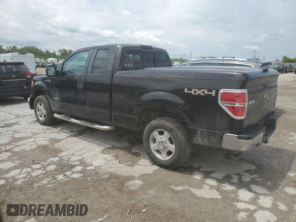 2013 Ford F-150 XL with VIN 1FTFX1ET0DFB38753, listed as a Copart auction lot 61244495 with 211,235 mi miles and Salvage title. Bid and sale history available at DreamBid. Image 2.