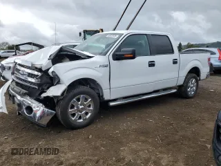 2013 Ford F-150 XL with VIN 1FTFW1CF5DFD27219, listed as a Copart auction lot 50928335 with 118,025 mi miles and Salvage Title. Bid and sale history available at carsss.com. Image 1.