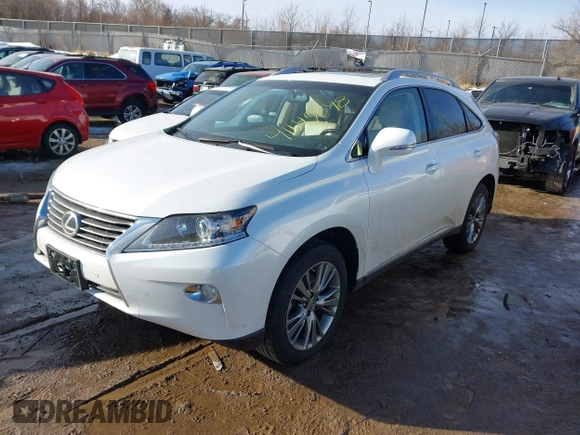 2014 Lexus RX 350 with VIN JTJBK1BA5E2036886, listed as a IAAI auction lot 41645848 with 36,558 mi miles and . Bid and sale history available at DreamBid. Image 2.