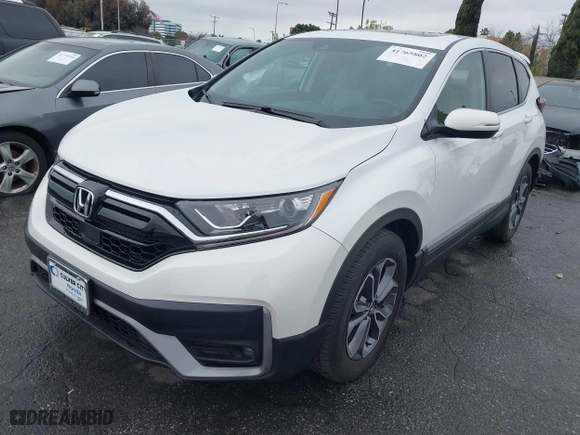 2022 Honda CR-V EX with VIN 5J6RW1H59NA020450, listed as a IAAI auction lot 41765802 with 31,147 mi miles. Bid and sale history available at carsss.com. Image 17.