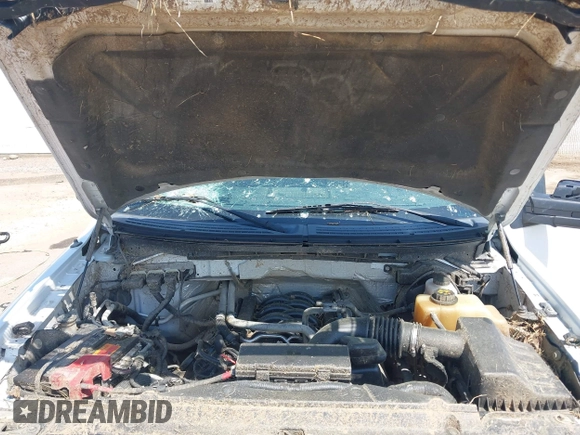 2013 Ford F-150 XL с VIN 1FTFX1EF3DFB70851, выставлен на аукционе IAAI как лот 42067353 с пробегом 150 304 миль миль и . История ставок и продаж доступна на DreamBid. Изображение 10.