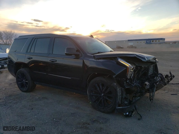 2019 Cadillac Escalade Platinum with VIN 1GYS4DKJ7KR386452, listed as a Copart auction lot 83686144 with 125,437 mi miles and Salvage Title. Bid and sale history available at carsss.com. Image 4.