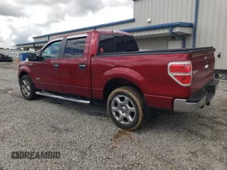 2014 Ford F-150 XL with VIN 1FTFW1CT5EFC49449, listed as a Copart auction lot 53208175 with 151,627 mi miles and Salvage title. Bid and sale history available at DreamBid. Image 2.