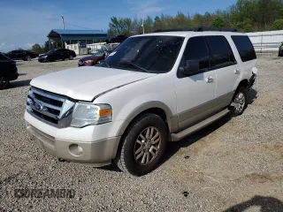 2010 Ford Expedition Eddie Bauer with VIN 1FMJU1J56AEB58111, listed as a Copart auction lot 51589865 with 205,013 mi miles and Salvage title. Bid and sale history available at DreamBid. Image 1.
