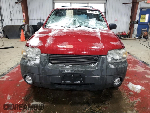 2007 Ford Escape XLT с VIN 1FMYU93147KB88080, выставлен на аукционе Copart как лот 87759205 с пробегом Не указан миль и Чистый • Clean title. История ставок и продаж доступна на DreamBid. Изображение 5.