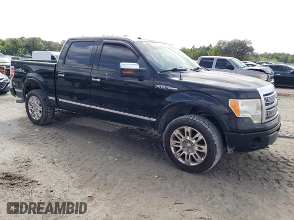 2009 Ford F-150 XL with VIN 1FTPW14V89FB24634, listed as a Copart auction lot 51163675 with 148,131 mi miles and Clean Title. Bid and sale history available at carsss.com. Image 4.