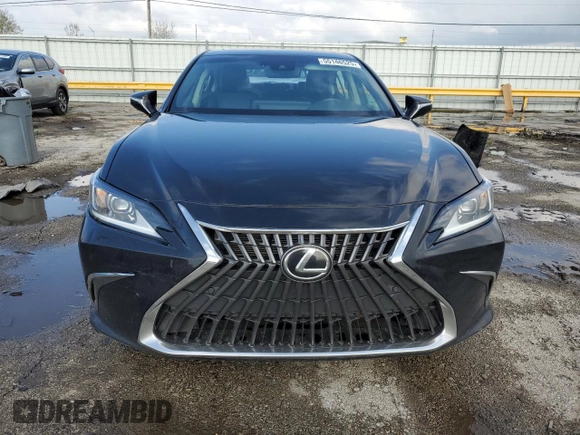 2022 Lexus ES 250 with VIN 58AD11D18NU008987, listed as a Copart auction lot 55146525 with 241,833 mi miles and Salvage title. Bid and sale history available at DreamBid. Image 5.