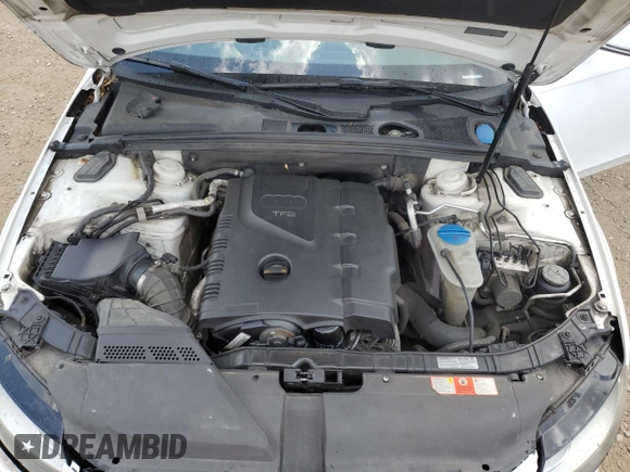 2009 Audi A4 with VIN WAULF68K59N025039, listed as a Copart auction lot 61571575 with Not provided miles and Salvage title. Bid and sale history available at DreamBid. Image 11.