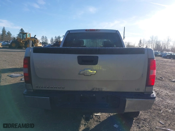 2009 Chevrolet Silverado 1500 LS with VIN 3GCEC13C59G116778, listed as a IAAI auction lot 41686495 with 166,400 mi miles. Bid and sale history available at carsss.com. Image 16.