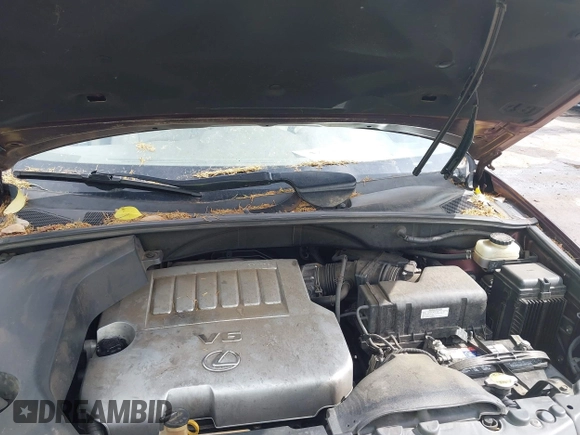 2008 Lexus RX 350 with VIN JTJGK31U880010747, listed as a IAAI auction lot 42113121 with 201,646 mi miles and . Bid and sale history available at DreamBid. Image 10.
