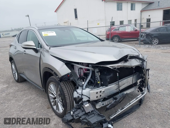 2025 Lexus NX 350 Luxury with VIN 2T2HGCEZ0SC062106, listed as a IAAI auction lot 42604940 with 3,775 mi miles and . Bid and sale history available at DreamBid. Image 6.