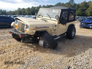 1993 Jeep Wrangler with VIN 1J4FY29S5PP247657, listed as a Copart auction lot 41595585 with 185,962 mi miles and Salvage Title. Bid and sale history available at carsss.com. Image 1.