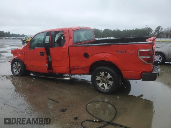 2013 Ford F-150 XL with VIN 1FTFX1EFXDFA24253, listed as a Copart auction lot 44145055 with Not Provided miles and Salvage Title. Bid and sale history available at DreamBid. Image 2.