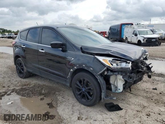 2019 Ford Escape SE z VIN 1FMCU0GD9KUA17378, wystawiony jako Copart lot #54778325 z przebiegiem 156 206 mil mil oraz Szkoda całkowita • Salvage title. Historia ofert i sprzedaży dostępna na DreamBid. Obrazek 4.