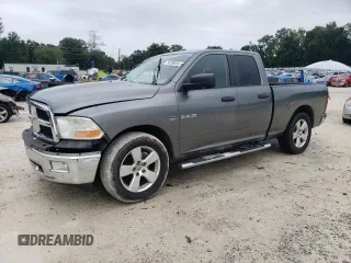 2009 Dodge 1500 SLT with VIN 1D3HB18T39S710391, listed as a Copart auction lot 74769534 with 244,310 mi miles and Salvage title. Bid and sale history available at DreamBid. Image 1.