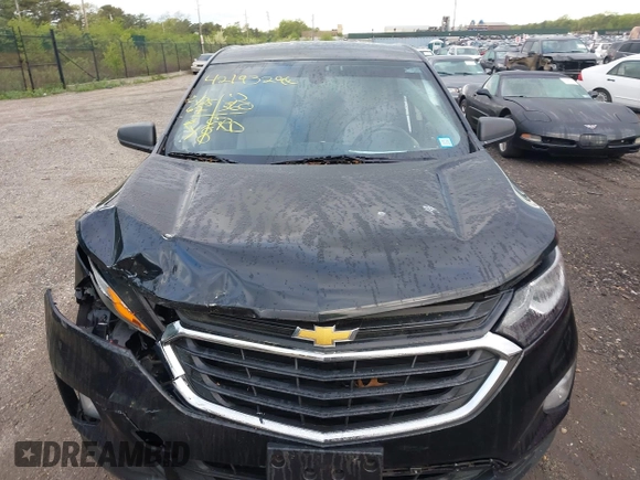 2019 Chevrolet Equinox LS with VIN 3GNAXHEV6KL202180, listed as a IAAI auction lot 42193296 with 42,567 mi miles and . Bid and sale history available at carsss.com. Image 12.