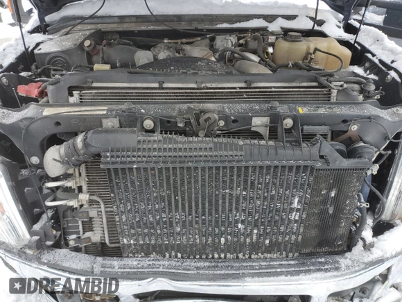 2010 Ford Super Duty F-250 SRW XL with VIN 1FTSW2BR8AEA22265, listed as a Copart auction lot 87000794 with 123,744 mi miles and Salvage Title. Bid and sale history available at carsss.com. Image 11.