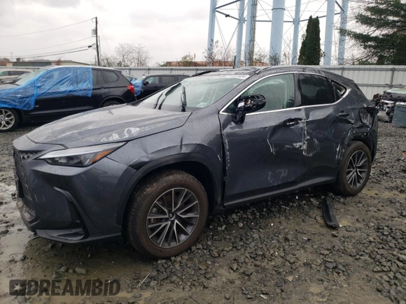 2024 Lexus NX with VIN 2T2AGCEZ4RC053310, listed as a Copart auction lot 81652604 with 10,328 mi miles and Salvage Title. Bid and sale history available at carsss.com. Image 1.