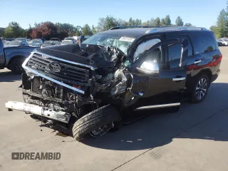 2019 Toyota Sequoia Limited with VIN 5TDJY5G11KS171719, listed as a Copart auction lot 69651034 with 0 mi miles and Salvage Title. Bid and sale history available at carsss.com. Image 1.